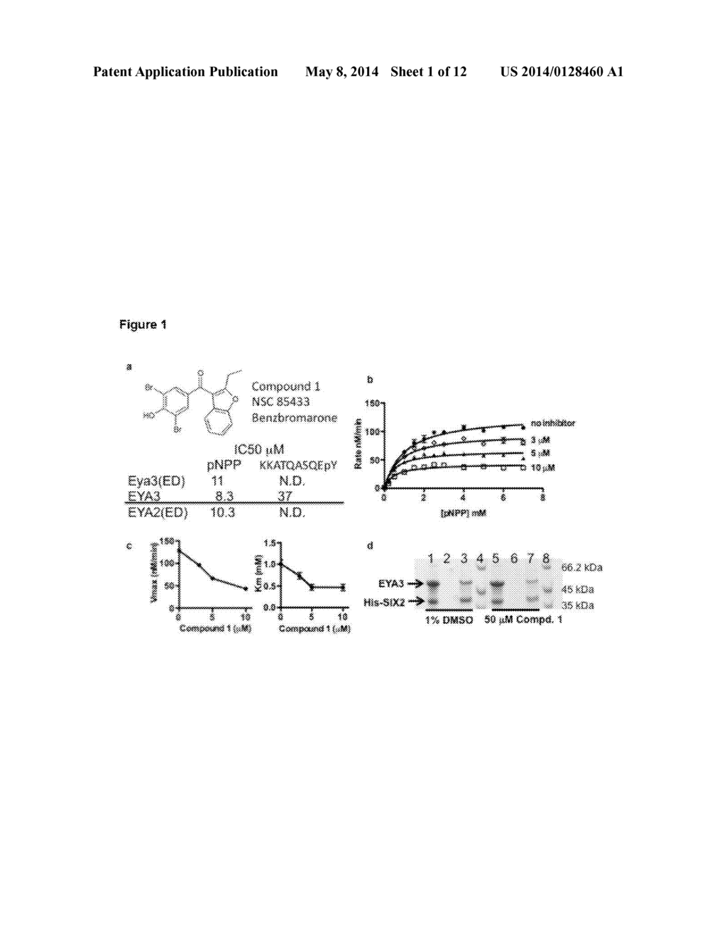 USE OF SMALL MOLECULE INHIBITORS TARGETING EYA TYROSINE PHOSPHATASE - diagram, schematic, and image 02