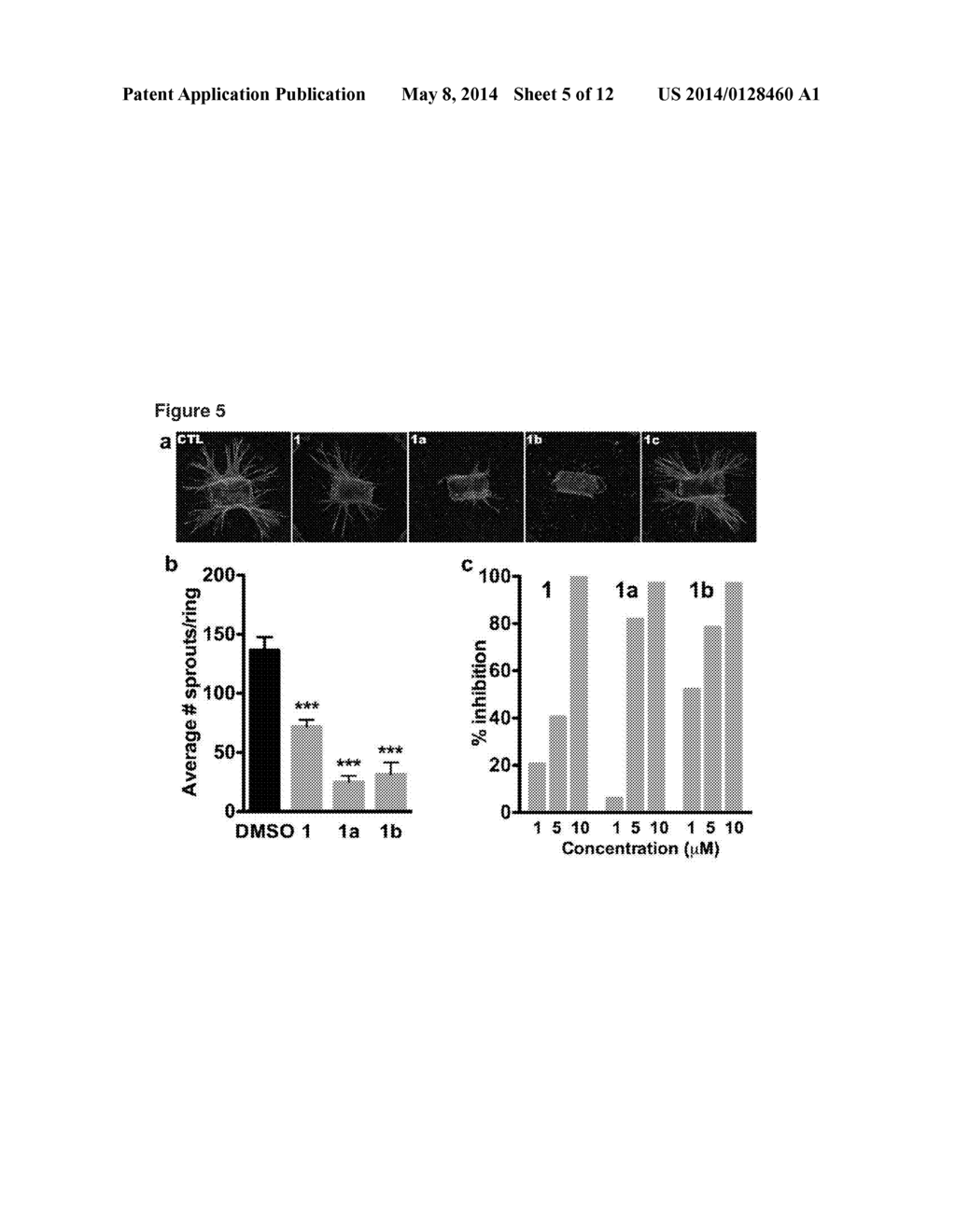 USE OF SMALL MOLECULE INHIBITORS TARGETING EYA TYROSINE PHOSPHATASE - diagram, schematic, and image 06