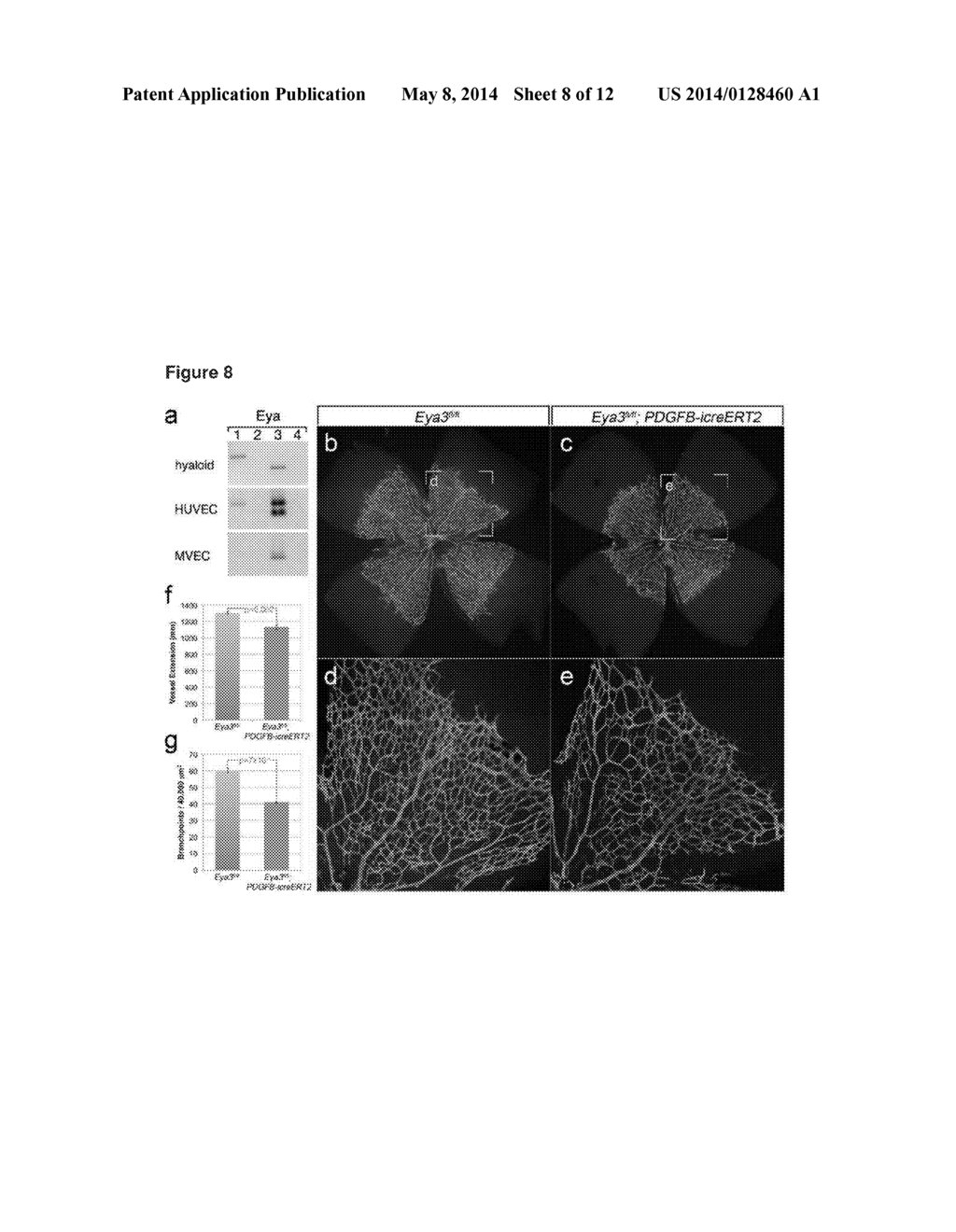 USE OF SMALL MOLECULE INHIBITORS TARGETING EYA TYROSINE PHOSPHATASE - diagram, schematic, and image 09