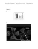 USE OF SMALL MOLECULE INHIBITORS TARGETING EYA TYROSINE PHOSPHATASE diagram and image