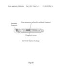METHOD FOR ACQUIRING A HEAT-STABLE ANTIBODY-DISPLAYED PHAGE diagram and image