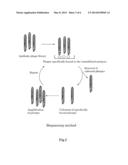 METHOD FOR ACQUIRING A HEAT-STABLE ANTIBODY-DISPLAYED PHAGE diagram and image