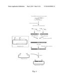 METHOD FOR ACQUIRING A HEAT-STABLE ANTIBODY-DISPLAYED PHAGE diagram and image