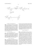 Disubstituted Maleic Anhydrides with Altered Kinetics of Ring Closure diagram and image