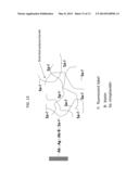 CROSSLINKED POLYSACCHARIDE diagram and image