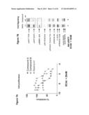 BENZOXAZOLE KINASE INHIBITORS AND METHODS OF USE diagram and image