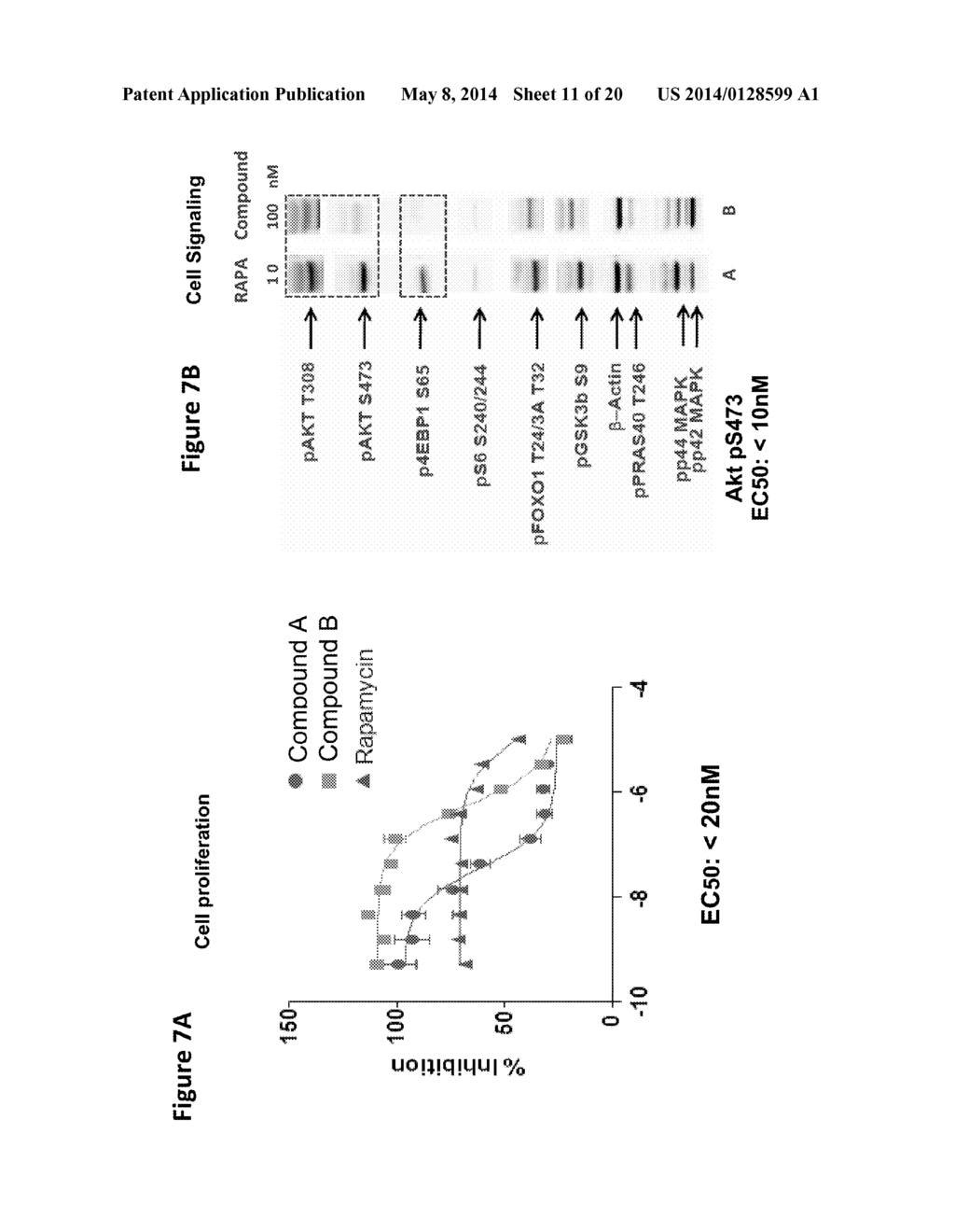 BENZOXAZOLE KINASE INHIBITORS AND METHODS OF USE - diagram, schematic, and image 12