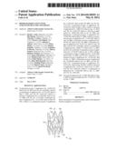 Biodegradable stent with enhanced fracture toughness diagram and image