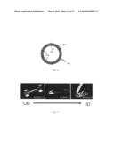 Biodegradable stent with enhanced fracture toughness diagram and image