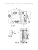 Article of Clothing Having Magnetic Fastening Assemblies diagram and image