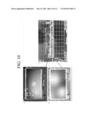 DIPOLE ANTENNA MODULE AND ELECTRONIC APPARATUS INCLUDING THE SAME diagram and image