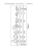 Use of Stem Cells to Reduce Leukocyte Extravasation diagram and image