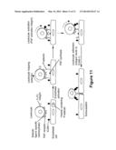 Use of Stem Cells to Reduce Leukocyte Extravasation diagram and image