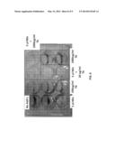 ENZYMES FOR INHIBITING GROWTH OF BIOFILMS AND DEGRADING SAME diagram and image