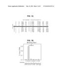 PHOSPHORYLATION OF HISTONES AND USES THEREOF diagram and image