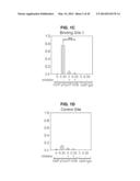 PHOSPHORYLATION OF HISTONES AND USES THEREOF diagram and image