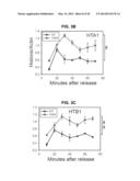 PHOSPHORYLATION OF HISTONES AND USES THEREOF diagram and image