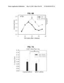 PHOSPHORYLATION OF HISTONES AND USES THEREOF diagram and image