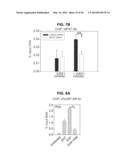 PHOSPHORYLATION OF HISTONES AND USES THEREOF diagram and image