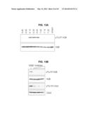 PHOSPHORYLATION OF HISTONES AND USES THEREOF diagram and image