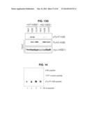 PHOSPHORYLATION OF HISTONES AND USES THEREOF diagram and image