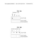 PHOSPHORYLATION OF HISTONES AND USES THEREOF diagram and image