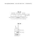 PHOSPHORYLATION OF HISTONES AND USES THEREOF diagram and image