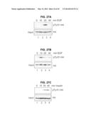 PHOSPHORYLATION OF HISTONES AND USES THEREOF diagram and image