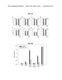 PHOSPHORYLATION OF HISTONES AND USES THEREOF diagram and image