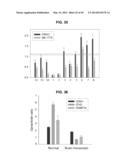 PHOSPHORYLATION OF HISTONES AND USES THEREOF diagram and image