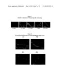 Methods and Compositions For Wound Treatment diagram and image