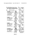 BETA-2 MICROGLOBULIN-DEFICIENT CELLS diagram and image