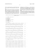 BETA-2 MICROGLOBULIN-DEFICIENT CELLS diagram and image