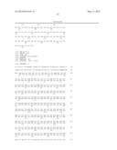 BETA-2 MICROGLOBULIN-DEFICIENT CELLS diagram and image