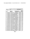 EPHA2 T-CELL EPITOPE AGONISTS AND USES THEREFORE diagram and image