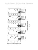 EPHA2 T-CELL EPITOPE AGONISTS AND USES THEREFORE diagram and image