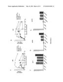 VACCINES AND IMMUNOPOTENTIATING COMPOSITIONS AND METHODS FOR MAKING AND     USING THEM diagram and image