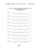 MULTI PLASMID SYSTEM FOR THE PRODUCTION OF INFLUENZA VIRUS diagram and image