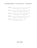 MULTI PLASMID SYSTEM FOR THE PRODUCTION OF INFLUENZA VIRUS diagram and image