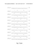 MULTI PLASMID SYSTEM FOR THE PRODUCTION OF INFLUENZA VIRUS diagram and image