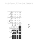 MULTI PLASMID SYSTEM FOR THE PRODUCTION OF INFLUENZA VIRUS diagram and image