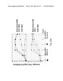 MULTI PLASMID SYSTEM FOR THE PRODUCTION OF INFLUENZA VIRUS diagram and image