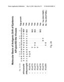 MULTI PLASMID SYSTEM FOR THE PRODUCTION OF INFLUENZA VIRUS diagram and image