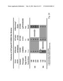 MULTI PLASMID SYSTEM FOR THE PRODUCTION OF INFLUENZA VIRUS diagram and image