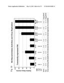 MULTI PLASMID SYSTEM FOR THE PRODUCTION OF INFLUENZA VIRUS diagram and image