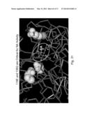 MULTI PLASMID SYSTEM FOR THE PRODUCTION OF INFLUENZA VIRUS diagram and image