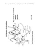 MULTI PLASMID SYSTEM FOR THE PRODUCTION OF INFLUENZA VIRUS diagram and image