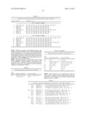 MULTI PLASMID SYSTEM FOR THE PRODUCTION OF INFLUENZA VIRUS diagram and image