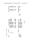 MINCED CARTILAGE SYSTEMS AND METHODS diagram and image