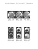 pH INDUCED SILK GELS AND USES THEREOF diagram and image